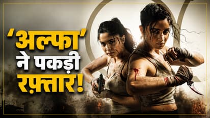 Alpha Laatest Box Office Report