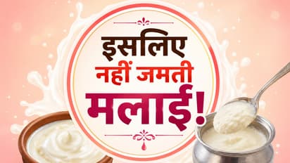 moti malai kaise jamaye tips in hindi