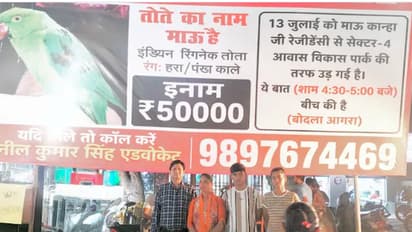 Agra Family Offers Rs 50,000 Reward to Find Missing Pet Parrot, Internet Joins the Search