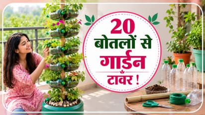 Plastic bottle vertical garden