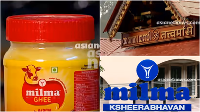 Sabarimala, Milma Ghee Fraud