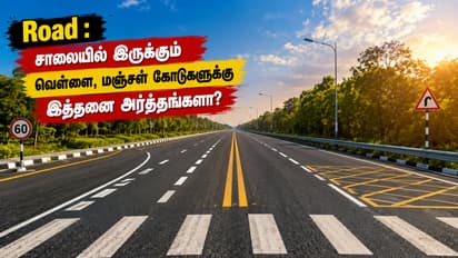 meaning of white and yellow road lines