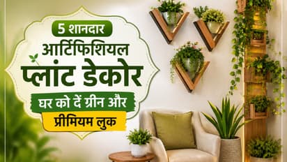 Artificial Plant Decor