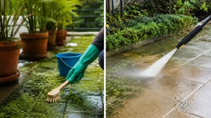 garden rain moss cleaning tips
