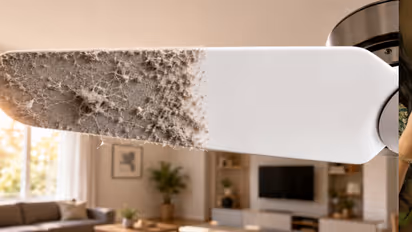 Dusty Fan