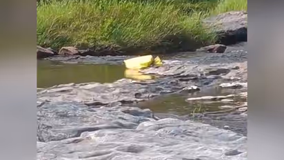 Attapady River
