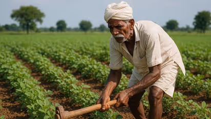 PM Kisan Yojana: दिवाळीपूर्वी शेतकऱ्यांना मोदी सरकारचं मोठं गिफ्ट, खात्यात येणार पैसे!