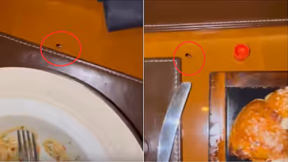 JW Marriott Mumbai : मुंबईच्या फाईव्ह स्टार हॉटेलमध्ये जेवणाच्या ताटात झुरळ!