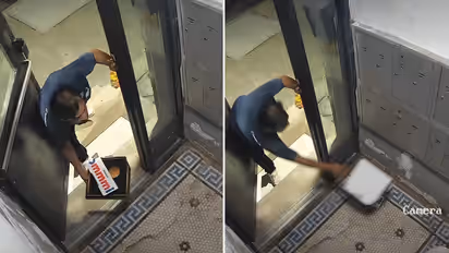 Domino's Delivery Video: पिझ्झा उलटा फेकून डिलिव्हरी बॉय पसार, टिपिंगवरून इंटरनेटवर जुंपली