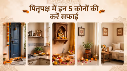 पितृपक्ष क्लीनिंग