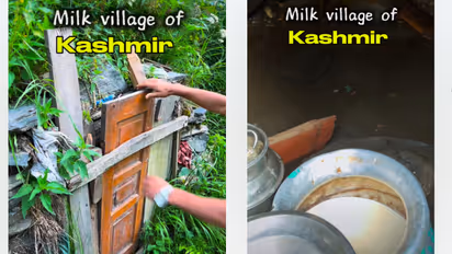 Milk Village Kashmir