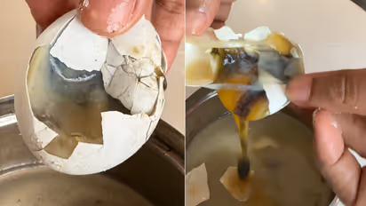 Swiggy Instamart Rotten Eggs : लोकांच्या आरोग्याशी खेळतायत का ऑनलाइन डिलिव्हरी अॅप्स?