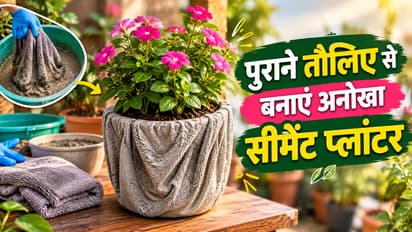 Towel Cement Planter