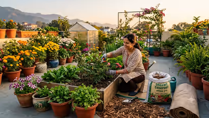 Winter Gardening