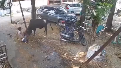 Raipur