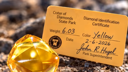 Yellow Diamond: अमेरिकेतील पार्कमध्ये लाईव्ह स्ट्रीमिंग करताना सापडला ६.०३ कॅरेटचा दुर्मिळ हिरा