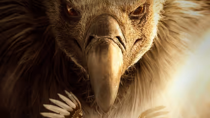 Ramayana: Anupam Kher as Jatayu, New Poster Reveals Voice Behind Epic’s Brave Hero