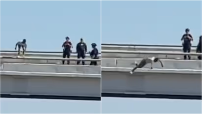 Dallas Overpass Tragedy : डॅलसमध्ये थरार! SWAT टीमसमोरच तरुणाची पुलावरून उडी, व्हिडिओ व्हायरल
