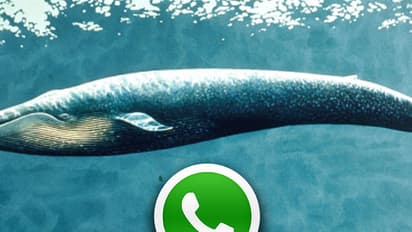 How a WhatsApp status message rescued two Bengaluru students from falling prey to Blue Whale game