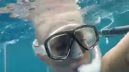 കടലിനടിയില് നീലചിത്രം ചിത്രീകരണം: നടിക്ക് സ്രാവിന്റെ ആക്രമണം