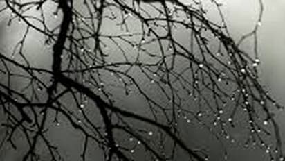 കനത്തമഴ; ജാഗ്രതാനിര്ദ്ദേശം; വിദ്യാഭ്യാസ സ്ഥാപനങ്ങൾക്ക് അവധി