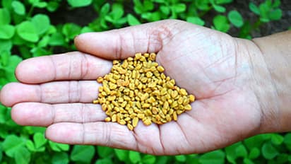 Methi Water Benefits: ಕೇವಲ ತಿಂಗಳ ಕಾಲ ಕುಡಿದು,  ಕಮಾಲ್ ನೋಡಿ