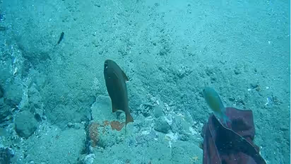 Vembanad lake among most polluted water bodies in the world