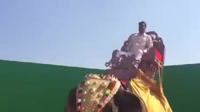 'ಕುರುಕ್ಷೇತ್ರ' ಸೆಟ್ಗೆ ಅಂಬಾರಿ ಮೇಲೆ ಬಂದ ಮುನಿರತ್ನ