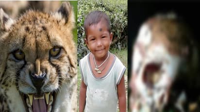 சிறுத்தை உதறியதில் சைதுலின் தலை தனியே பிய்ந்தது! அதன் பிறகு...: நெஞ்சை உருக்கும் வால்பாறை கோரம்!