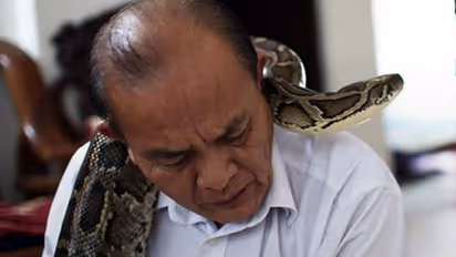 Meet the parents of a python