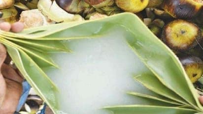 உடம்புக்குத் தேவையான கால்சியம் கிடைக்க பதநீர் குடியுங்கள்... இன்னும் நிறைய பலன்கள் இருக்கு...