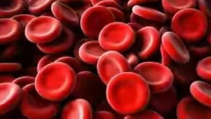 இந்த உணவுகளை நீங்கள் உட்கொண்டால் உங்கள் உடலில் ரத்தம் பெருகும்..