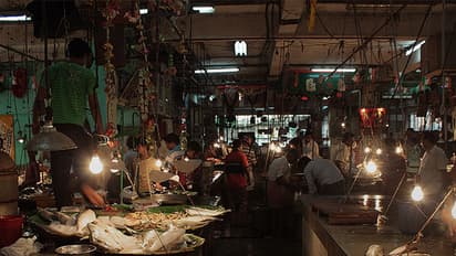 बिहार में नहीं बिकेंगी आंध्र और बंगाल की मछलियां