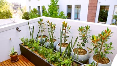 வீட்டுக் காய்கறித் தோட்டம் அமைக்குமுன் நீங்கள் தெரிந்து கொள்ள வேண்டிய அடிப்படைகள்...