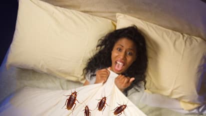 ಹಾಸಿಗೆಯಲ್ಲಿ ಸಹಕರಿಸದ ಹೆಂಡತಿಯ ಬಟ್ಟೆಯೊಳಗೆ ಜಿರಳೆ ಬಿಡ್ತಾನೆ ಟೆಕ್ಕಿ!