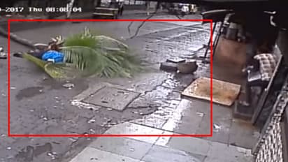 തെങ്ങ് തലയില് വീണ് മുന് ദൂരദര്ശന് ജീവനക്കാരിക്ക് ദാരുണാന്ത്യം