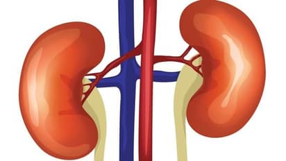 Kidney Disease: ক্রমে বাড়ছে কিডনির রোগ, নিজের ভুলেই এই রোগ ডেকে আনছেন না তো