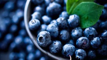 Abu Dhabi expands exportation of home-grown blueberries to India, Japan, Thailand