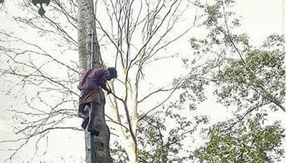 സഹജീവിതം;  വേഴാമ്പലിന് ഭക്ഷണമെത്തിച്ച് ഒരു മനുഷ്യന്‍