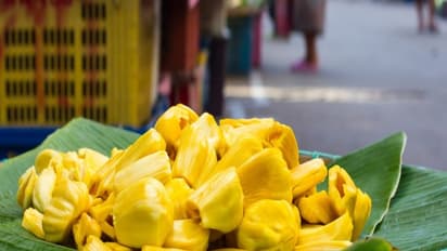 உங்களுக்குத் தெரியுமா? உயர் இரத்த அழுத்தத்தைக் கூட குறைக்கும் தன்மைக் கொண்டது பலாப்பழம்!