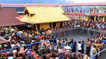 ಲಕ್ಷ ರೂ.ಮೌಲ್ಯದ ಬಾಳೆಗಿಡ ಕದ್ದೊಯ್ದ ನಕಲಿ ಅಯ್ಯಪ್ಪಸ್ವಾಮಿ ಮಾಲಾಧಾರಿಗಳು!