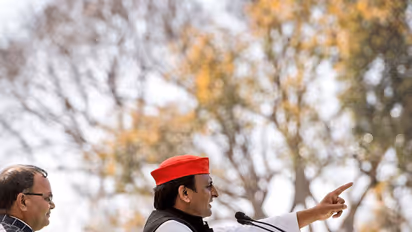 Gujarat BJP distributes bags with Akhilesh Yadav's face on them!