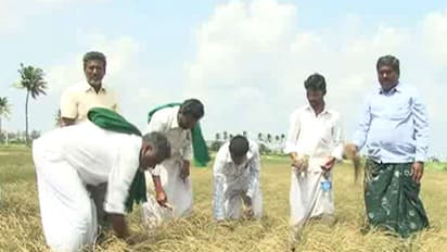 ಭತ್ತ ಬೆಳೆದ ರೈತರ ಮನದಲ್ಲೀಗ ಆತಂಕದ ಅಲೆ...!