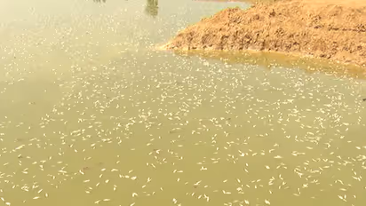 ಬೆಂಗಳೂರು ಸಾವಿನ ನೀರು