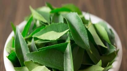 தலைமுடியின் வளர்ச்சியை அதிகரிக்க கறிவேப்பிலை இப்படி சாப்பிட்டு பாருங்களேன்...