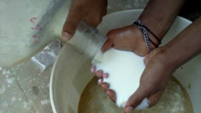 பஞ்சகவ்யம் தயாரிக்கும்போது இவற்றையெல்லாம் உன்னிப்பாக கவனிக்க வேண்டும்...