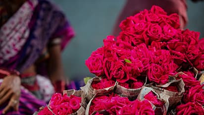 ವ್ಯಾಲಂಟೈನ್ಸ್ ಡೇಗೆ ಕೇಂದ್ರ ಸರ್ಕಾರದಿಂದ ರಜೆ ಘೋಷಣೆ?