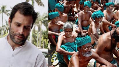 விவசாயிகளை சந்திக்கிறார் ராகுல் - போராட்டத்துக்கு தீர்வு கிடைக்குமா?