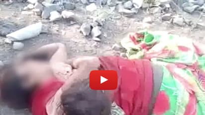 (ವಿಡಿಯೋ)ಕರುಳು ಹಿಂಡುವ ದೃಶ್ಯ: ಸತ್ತು ಬಿದ್ದ ಅಮ್ಮನ ಮೃತದೇಹದಿಂದಲೇ ಮೊಲೆಹಾಲು ಕುಡಿದ ಹಸುಗೂಸು!