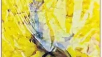 పాలకుర్తి సోమేశ్వరుని ప్రసాదంలో బల్లి